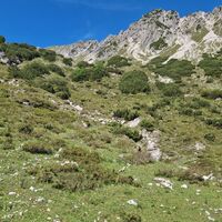 Blick nach oben , jetzt die beste Route wählen.
