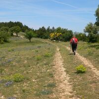 Wanderung auf dem Plateau du Grézac0014 ©CDRP34