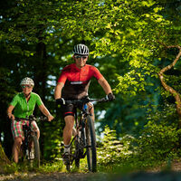 Radfahren durch den Wald