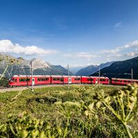 Alp Grüm