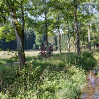 Radfahren Erzgebirge- wie ein Bad in der Natur