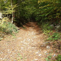 am Wanderweg hoch