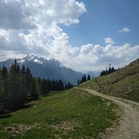 Die Lienzer Dolomiten vor Augen - Mooswiesenrunde