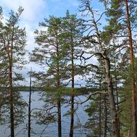 HAIKKAANLAHTI-ROUTE