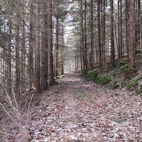 Auf zum Heinrichstein
