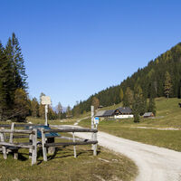 Am Weg zur Bodenalm
