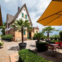 Terrasse_Weingut