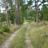 Richtung Rabenstein und Sauggern