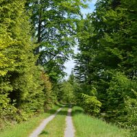 Auf ruhigen Wanderwegen lässt sich die Natur in vollen Zügen genießen