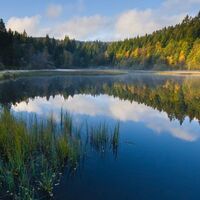 Windgfällweiher