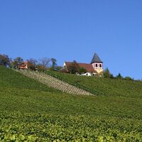 Erligheim - Michaelsberg