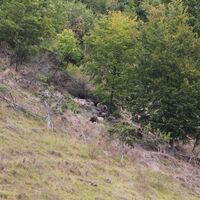 Larris_Le_Quesne_Arguel_04