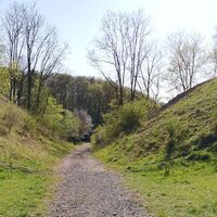 Rückweg nach Schönau
