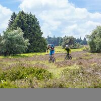 Biker in der Hochheide