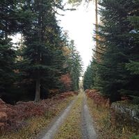 Wandern auf der Ebene zum Soldatenbrunnen