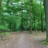 Rotbachtal