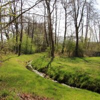 Schostorf - Schöpfwerkskanal