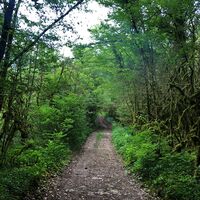 Weg zum Lac de Chailloux
