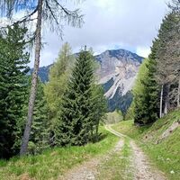 Auf dem Schotterweg auf dem Rückweg