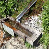 Abstieg am Mairalm Steig