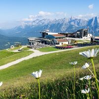 Restaurant Rosshuette - Blumenwiese.jpg