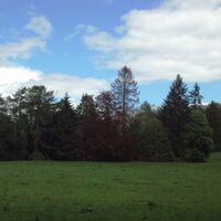 Salzgitter-Bad, Lichtung Wanderweg 13 und 15