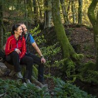 Zwei Rothaarsteig-Wanderer sitzen im grünen Wald auf einem Stein