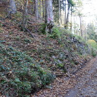 Aufstieg zum Falkenstein