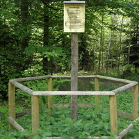 Hier stand der Hölzlekönig, der als Deutschlands größte Weißtanne galt