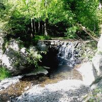 Le Devois-sous-bois-Bach