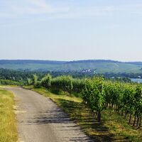 DSGVO WT Tourismus im Weinsberger Tal Wandern bei L wenstein 2 web