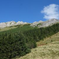 Blick hoch zur Hohen Veitsch Südwestseite