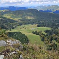 Ebenforstalm