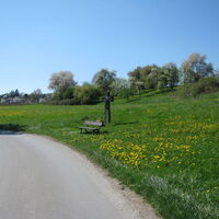 Radweg  Horn - Gaienhofen