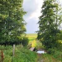 Eine kleine Brücke über den Gelängebach