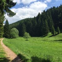 Tal der weißen Schwarza