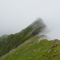 die letzten Meter zum Krautwasch