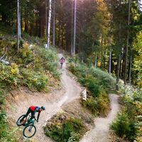 Augst Trail am Loser in Altaussee
