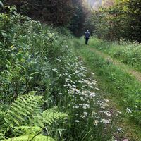 Aufstieg Hirtenwiese