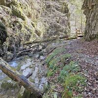 Klamm des Hölleitenbachs