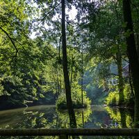 Teich_An den Teichen