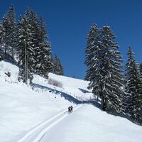 Weg2 - Schwyberg Trail
