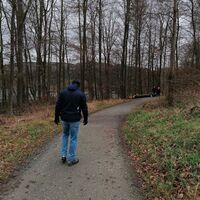 Auf dem Wogenweg am Hennesee