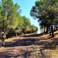 Spaziergang Mont Saint Loup TSOFT 5