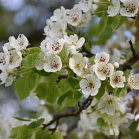 Entlang des Fröschlauweges im Frühling