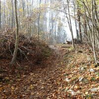 am Weg "Steiniger Weg"