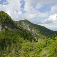 Rückblick zum Nackten und Rauen Kalbling