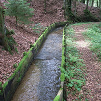 Hier verlassen wir das Hochsaler Wuhr nach links talwärts (weglos).