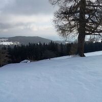 Ausblick von der Gmoa-Alm