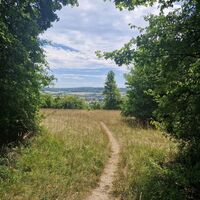 Blick auf den Bliesgau bei Gersheim